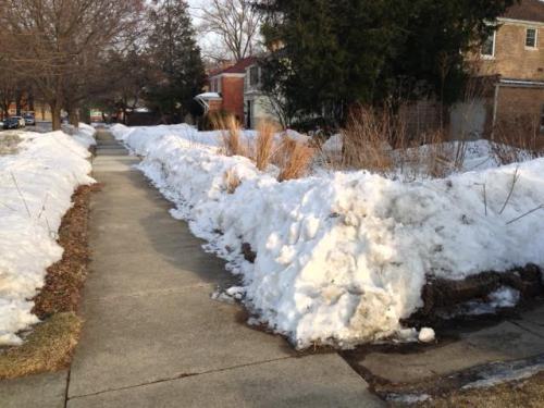 The sidewalk in front of our house, February 28th.